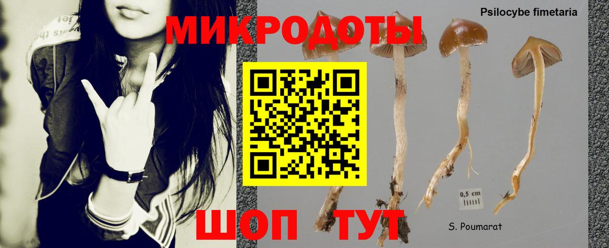 Галлюциногенные грибы MAGIC MUSHROOMS  Псилоцибиновые грибы мицелий  Вход с VPN  Строитель 